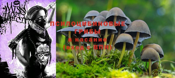 дмт Алексеевка