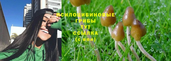 дмт Алексеевка